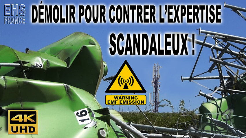 Antennes_Relais_Elevage_Lapins_Demolir_pour_contrer_expertise_850.jpg