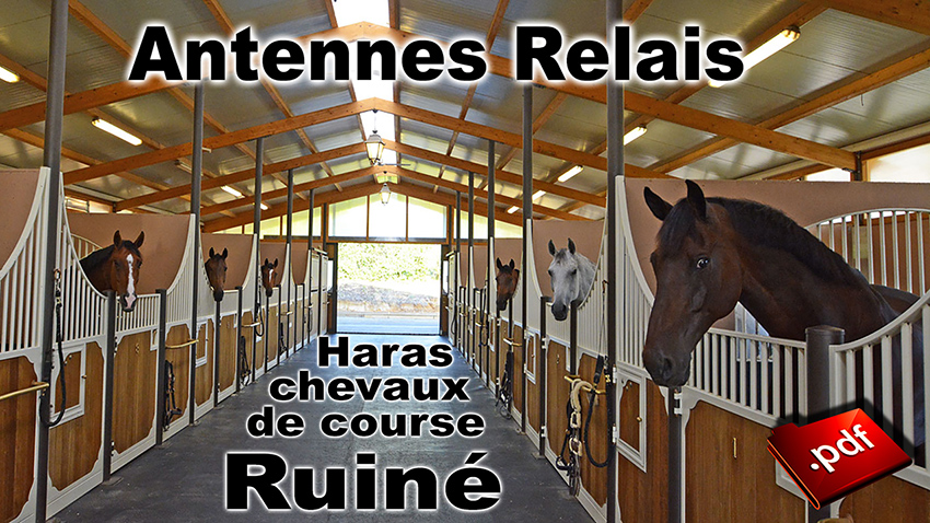 Antennes_relais_Haras_chevaux_course_850.jpg