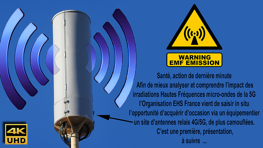 Antennes_relais_camouflees_presentation_850_DSCN4301.jpg