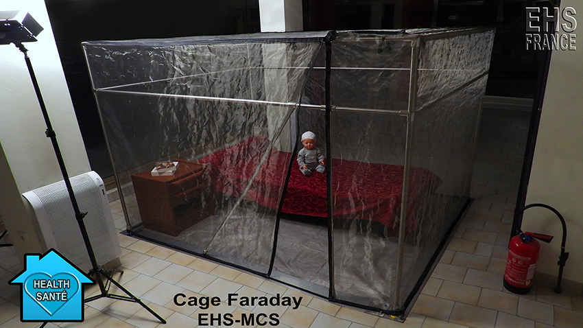 Cage_Faraday_EHS_MCS_850.jpg