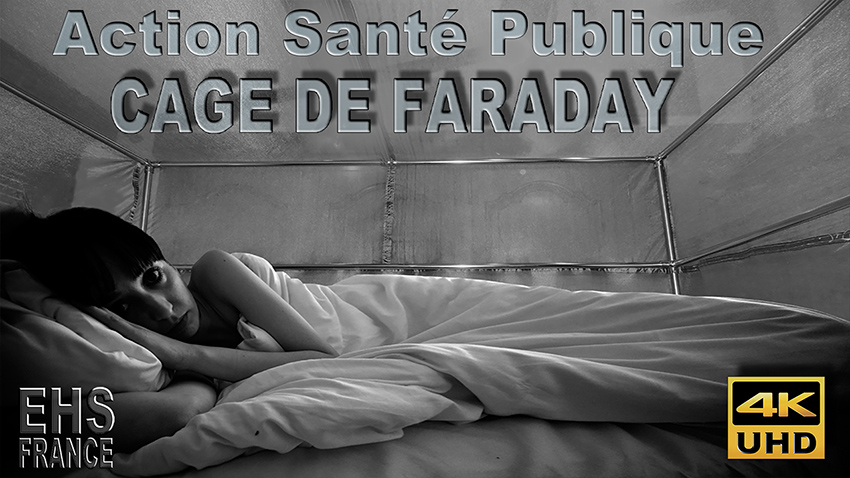 Cage_de_Faraday_action_nationale_sante_publique_850_DSCN7798.jpg