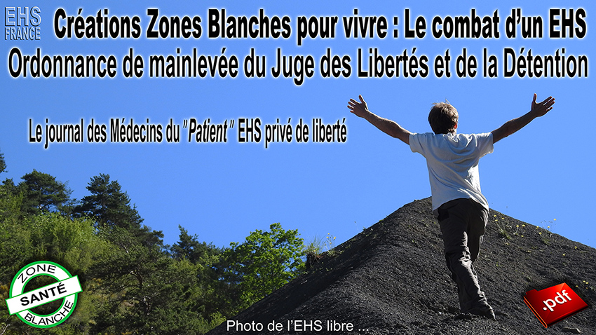 Creations_Zones_Blanches_pour_vivre_le_combat_d_un_EHS_Ordonnance_de_mainlevee_850_DSCN0441.jpg