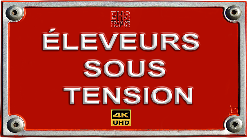 Eleveurs_sous_tension_plaque_THT_850_DSCN4198.png