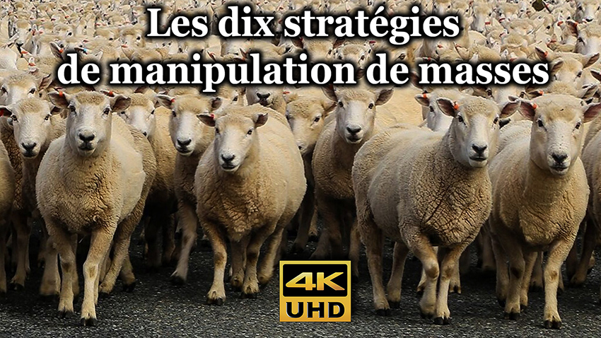Les_dix_strategies_de_manipulation_de_masses_850.jpg
