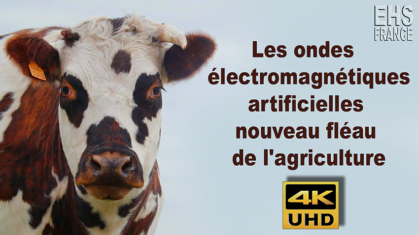 Les_ondes_electromagnetiques_artificielles_nouveau_fleau_de_l_agriculture_850.jpg