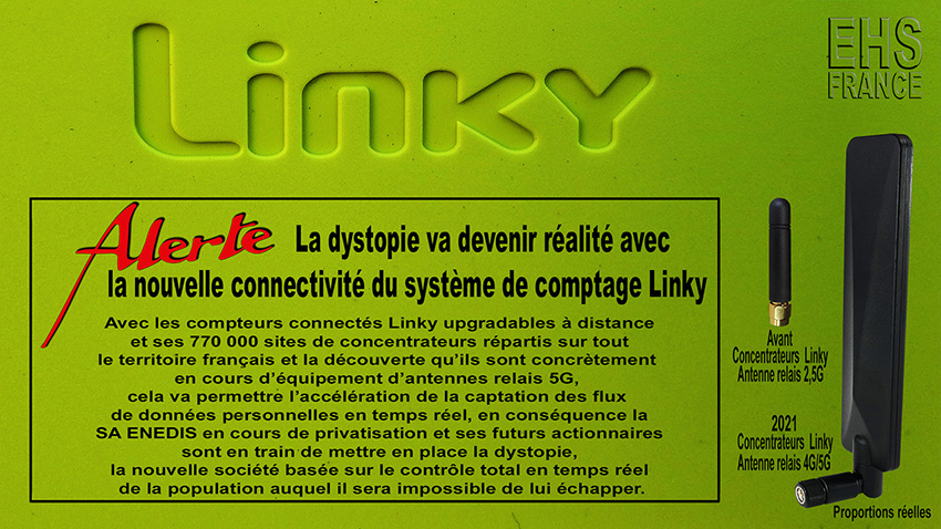 Linky_dystopie_850_DSCN1551.jpg