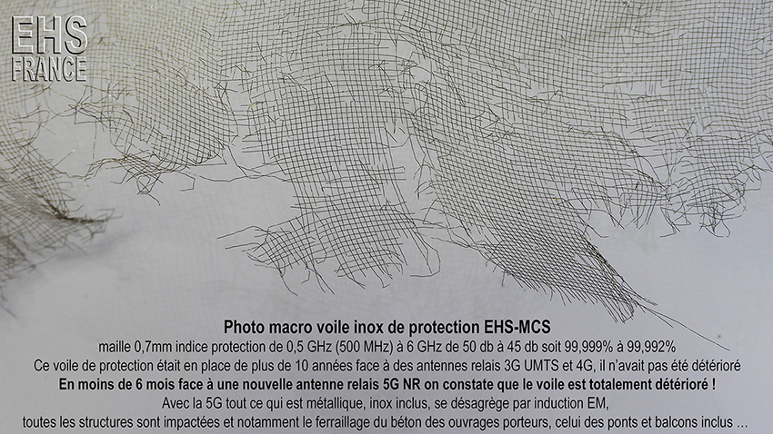 Photo_macro_voile_inox_de_protection_EHS_MCS_deteriore_par_la_5G_850_1280_HD_UHD_DSCN9140.jpg