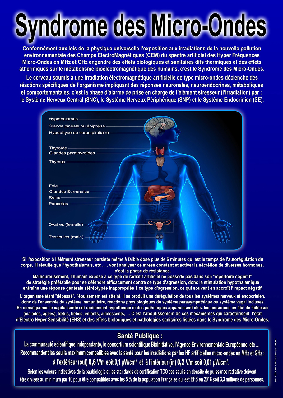 SMO_Syndrome_Micro_ondes_recto_1280_V2021.jpg