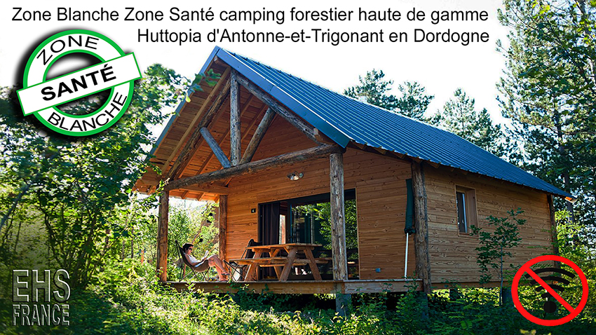 Zone_Blanche_Zone_Sante_camping_forestier_haute_de_gamme_850_1280_HD.jpg